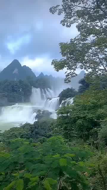 救援甜蜜熊